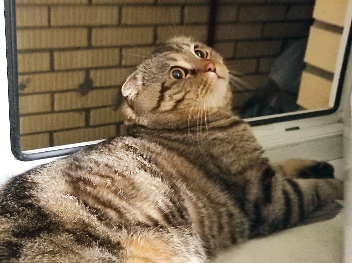 Готовлюсь) морально