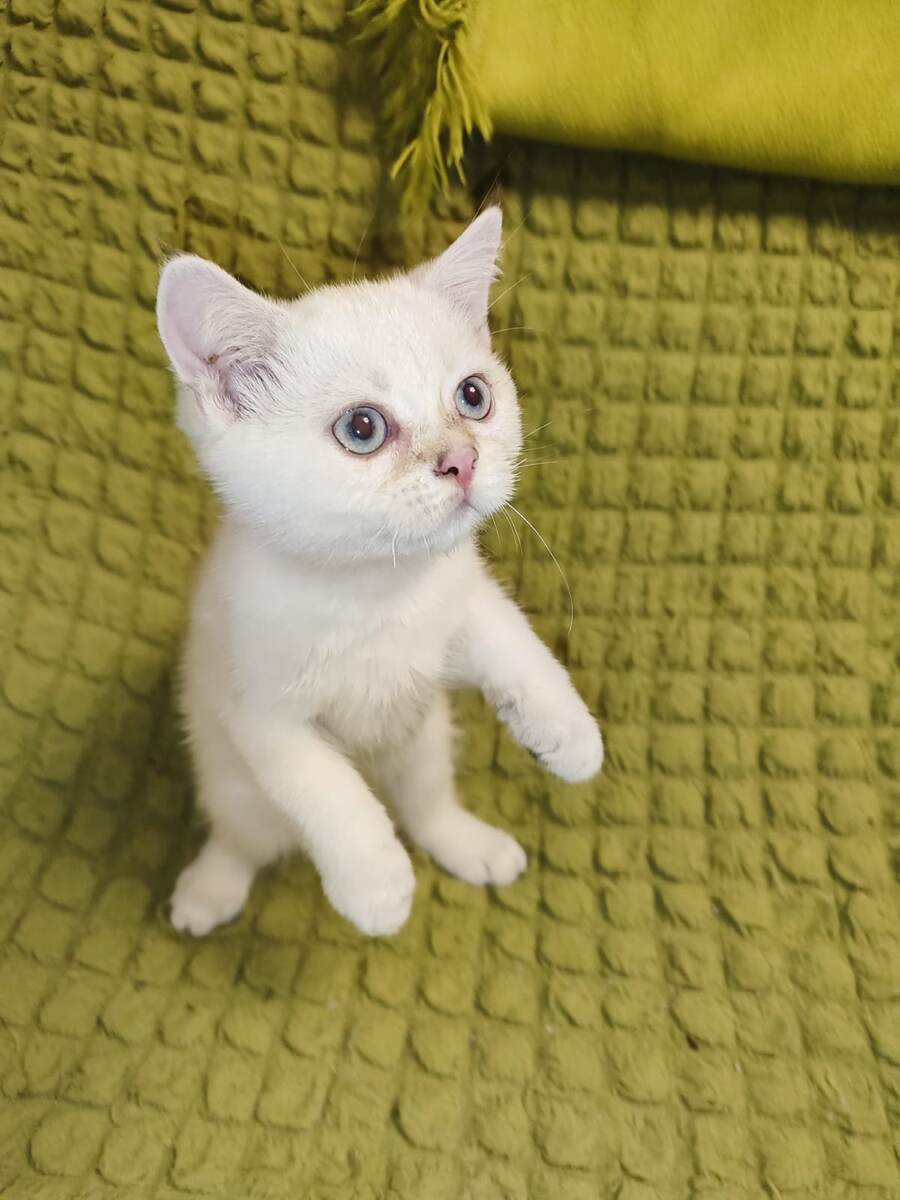 Маркуша в детстве!