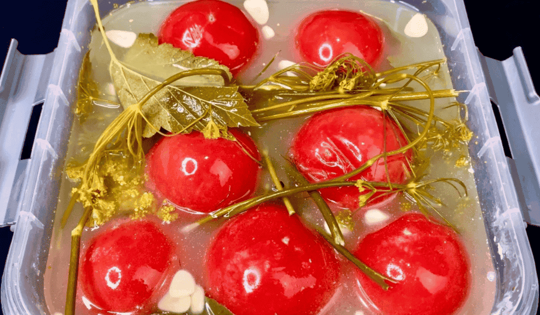 Квашенные томаты