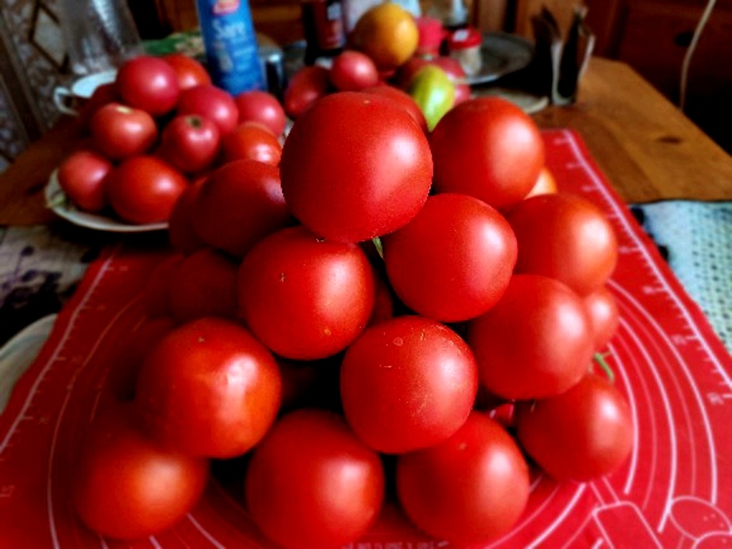 Томаты "Сандалин" 