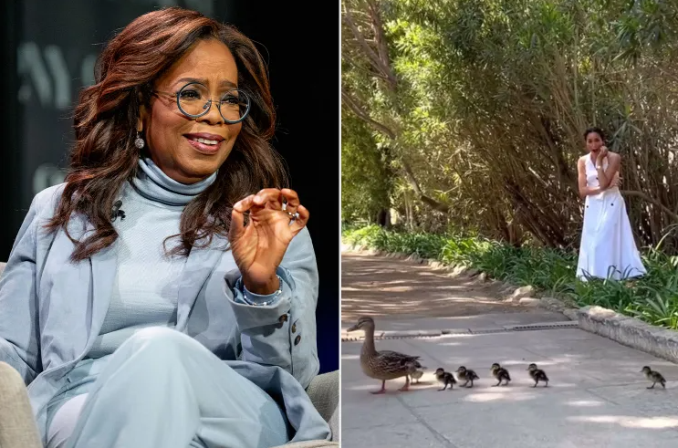 Меган Маркл и принц Гарри против утки. Комедия ошибок в доме Опры Уинфри