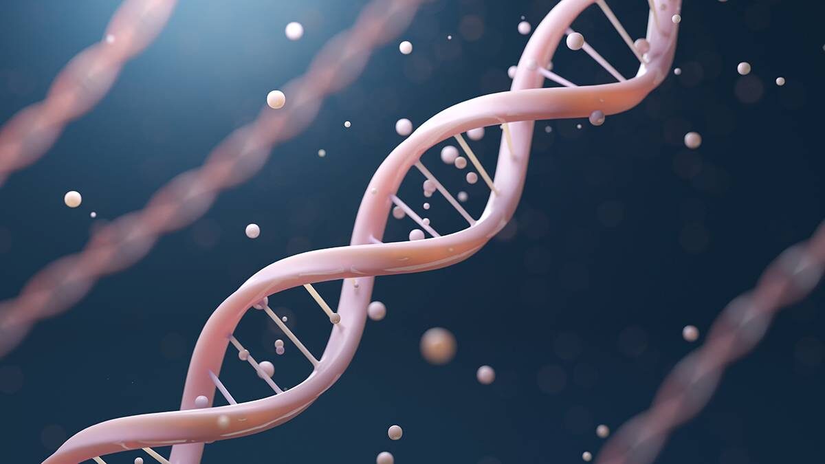    Фото: Shutterstock