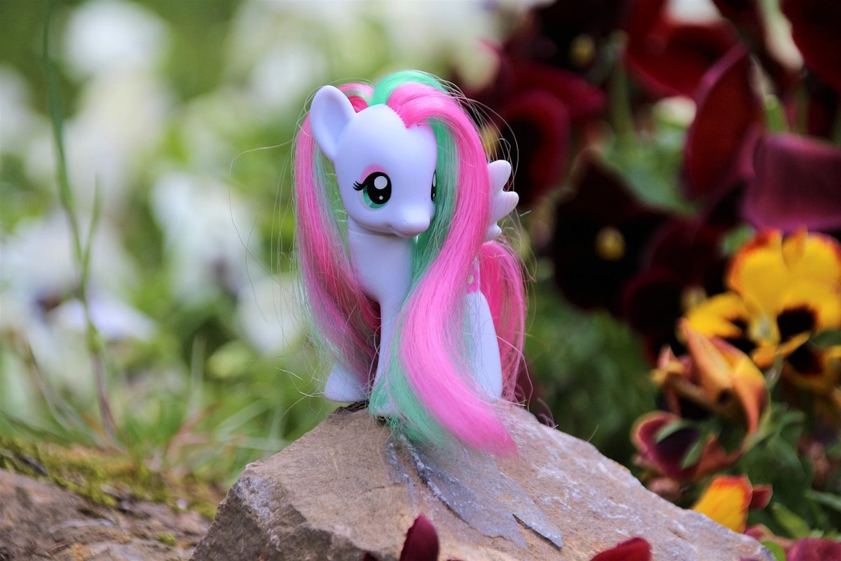    Фото: furbymama / Pixabay.com