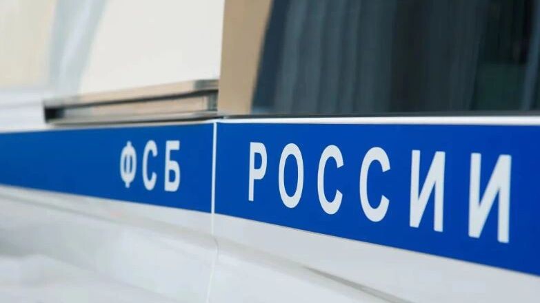    Фото: SGr/Shutterstock/Fotodom