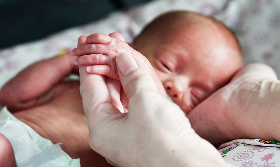    © Георгий Зимарев/РИА Новости