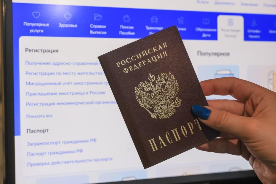    Наталья Шатохина/NEWS.ru