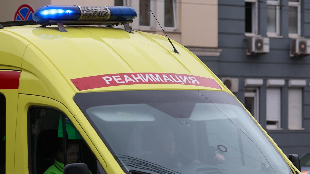    Фото: Maksim Konstantinov/globallookpress.com