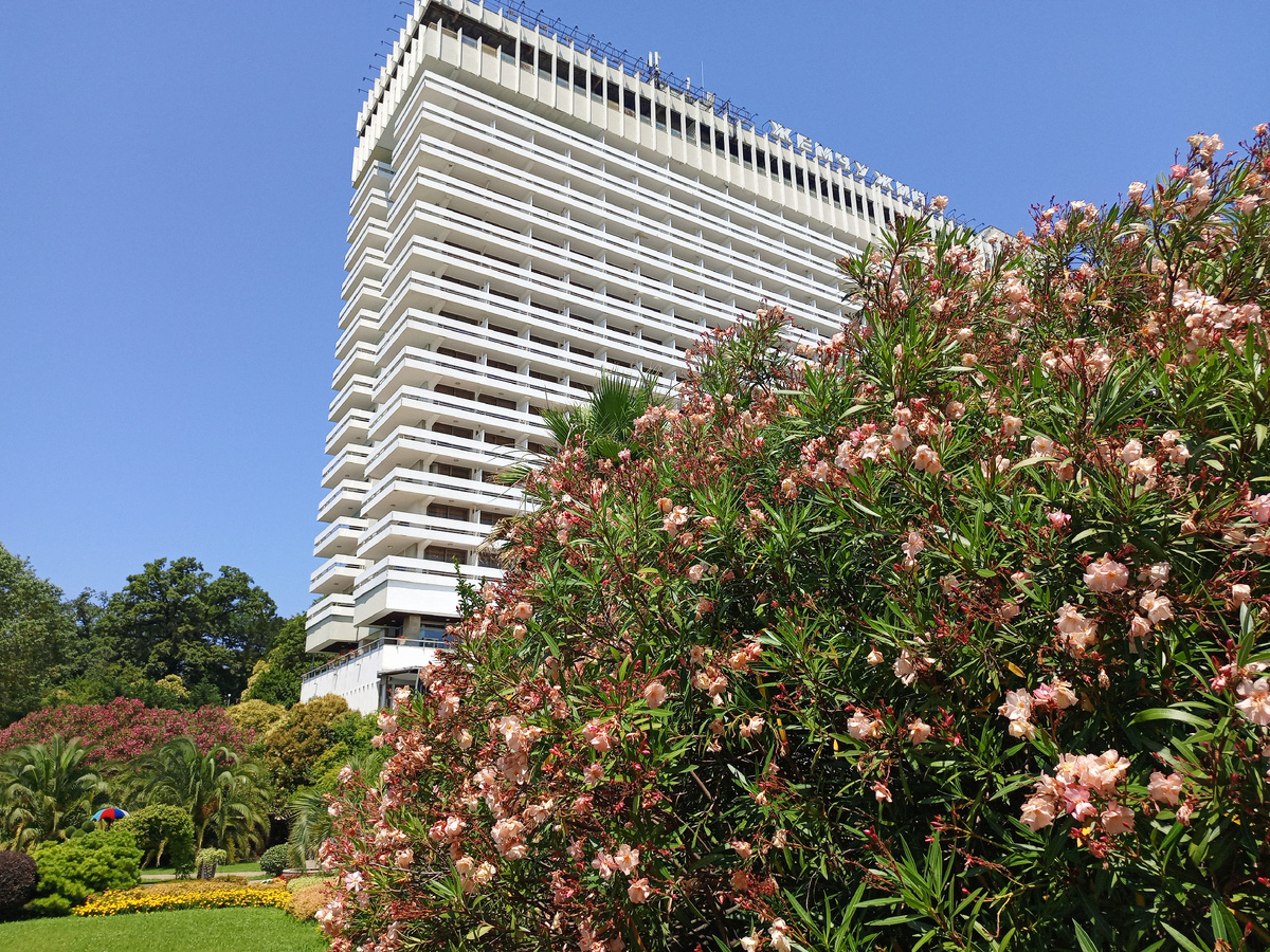 Отель "Жемчужина" в Сочи окружающей цветущей зеленью. Фото. 