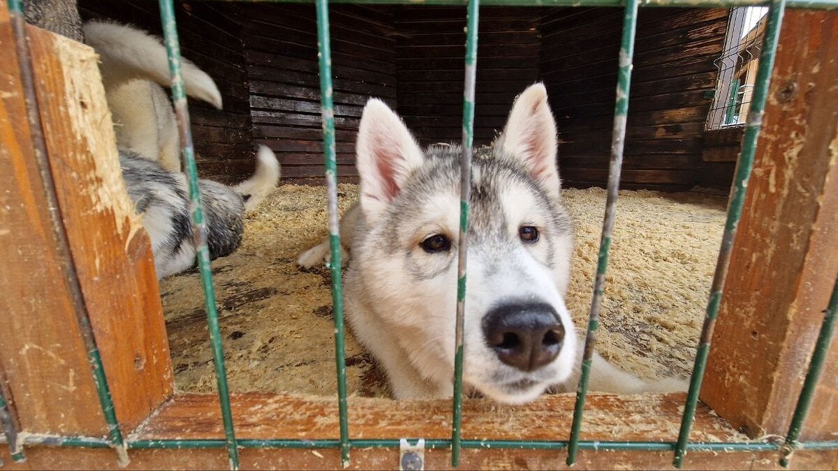    Фото: телеканал «Краснодар»