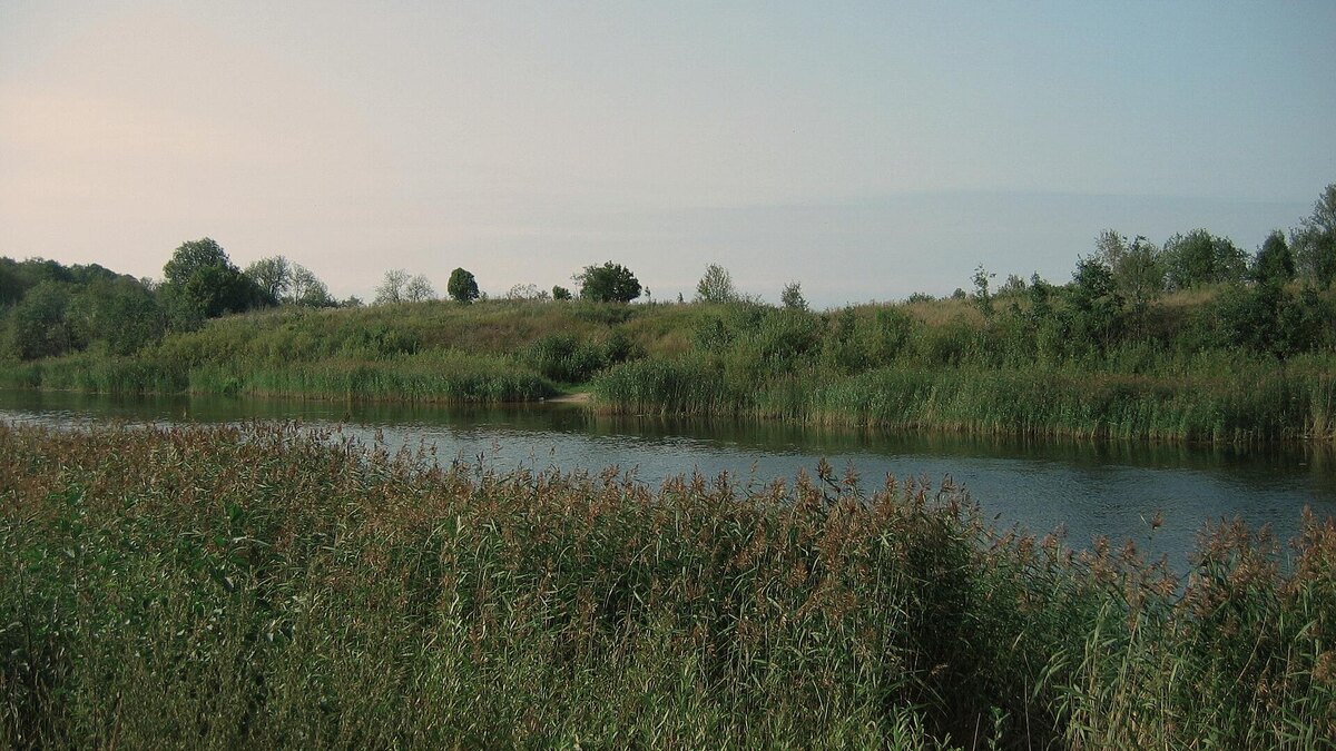    Фото: wikipedia.org