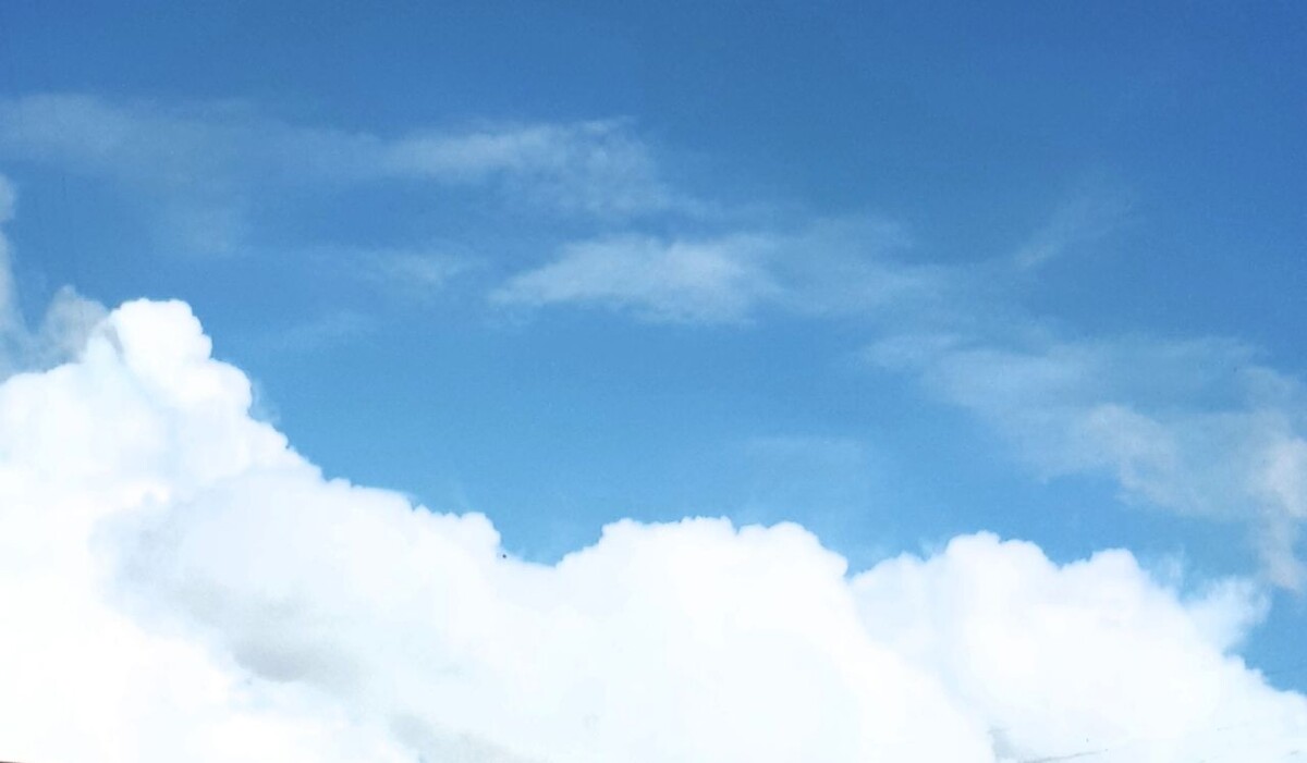 Фото автора статьи 17.07.2025г.