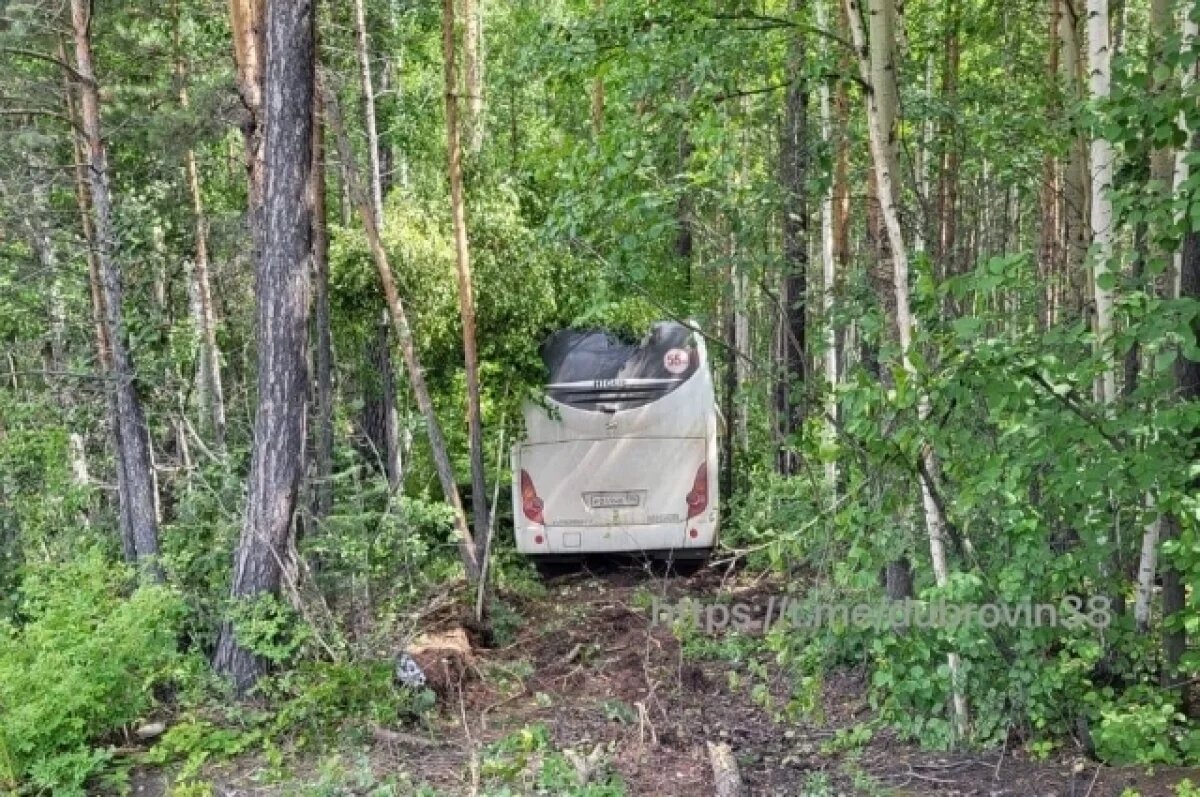    Автобус столкнулся с автомобилем УАЗ на трассе «Вилюй» в Иркутской области