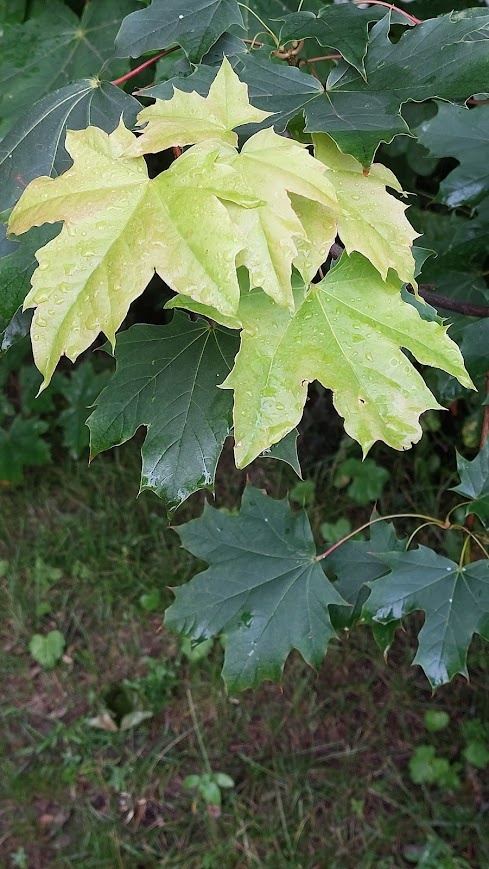 Природа это неисчерпаемый источник вдохновения