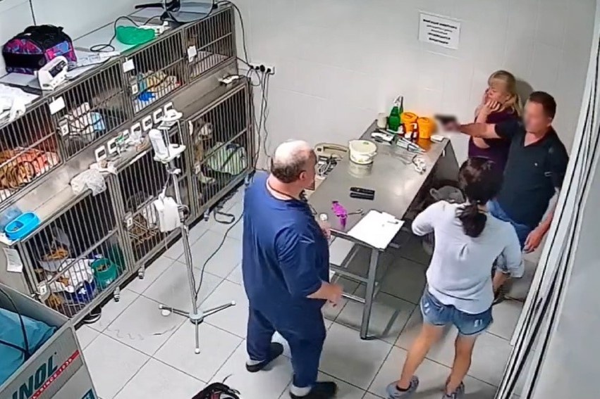 Фото: Ветеринарный центр «Зоомакс»