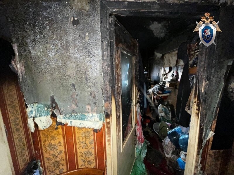    Фото: Пресс-служба следственного комитета по Ульяновской области