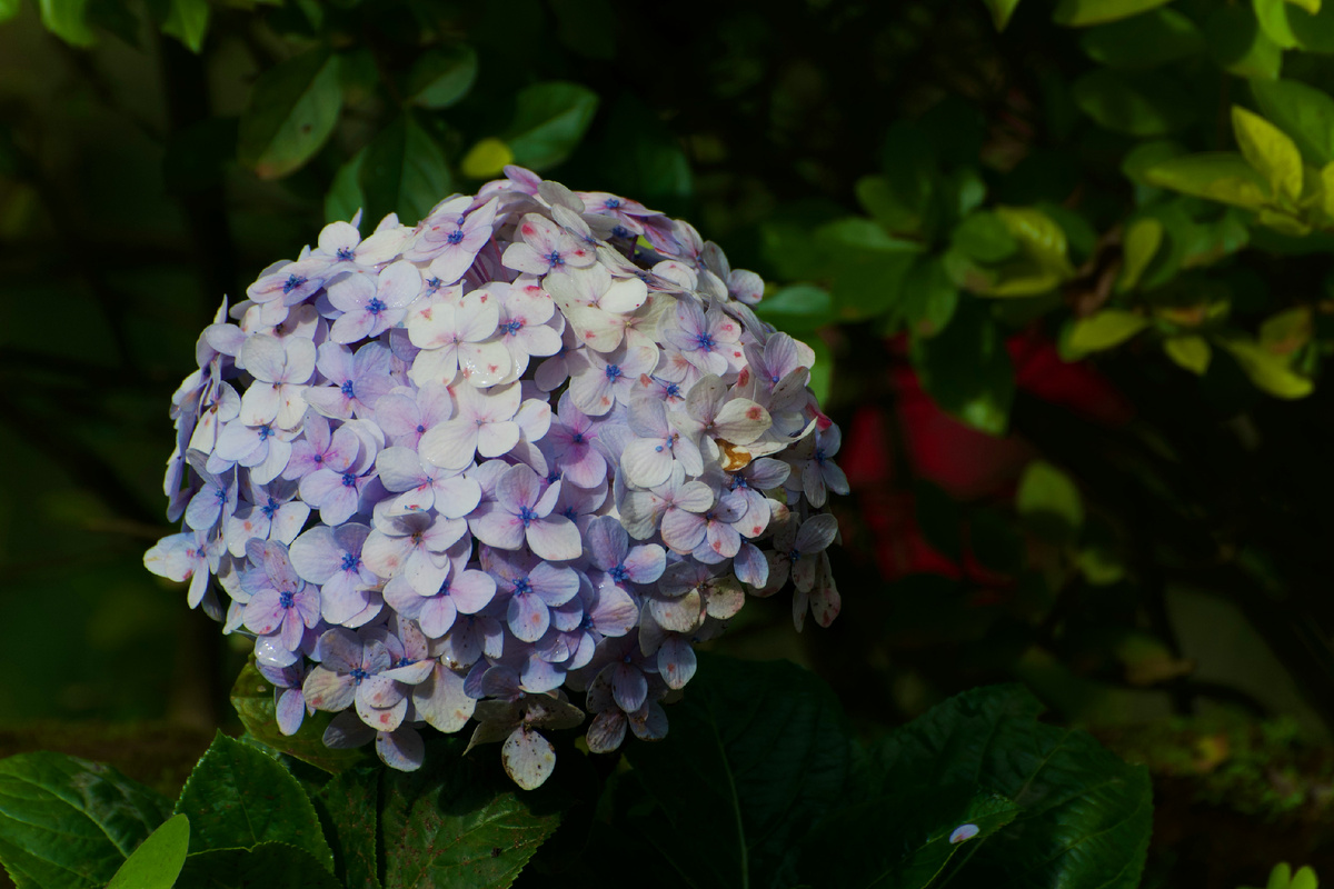 Картинка с бесплатного фотостока https://unsplash.com, автор SOHAM BANERJEE