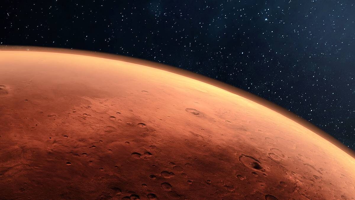    Фото: Shutterstock