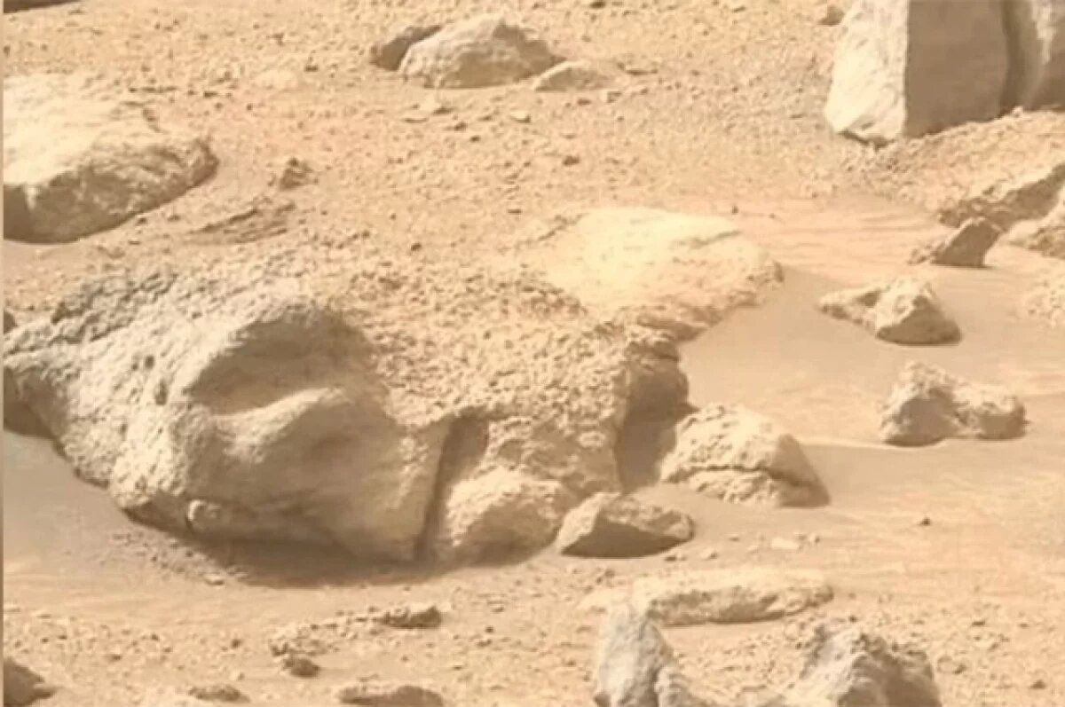    Крупнейший осколок Марса на Земле продан на аукционе за 5,3 млн долларов