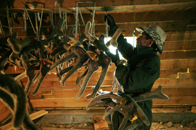   Александр Кряжев / РИА Новости