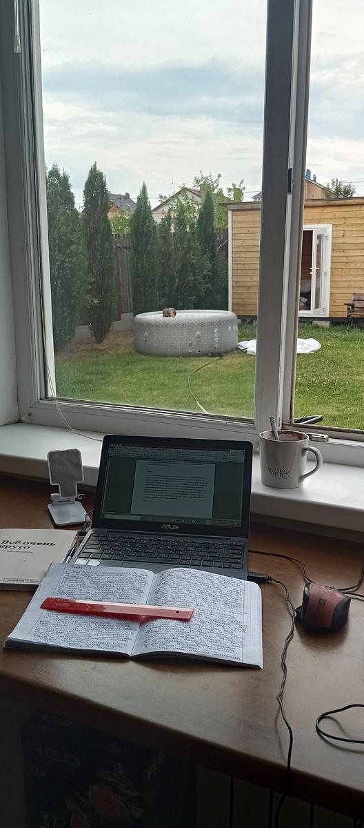 В свободное время работаю над книгой