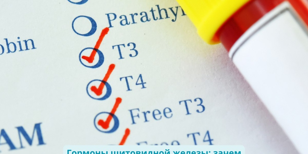 Гормоны щитовидной железы – Т3 (трийодтиронин) и Т4 (тироксин) – играют ключевую роль в обмене веществ, поддержке уровня энергии и