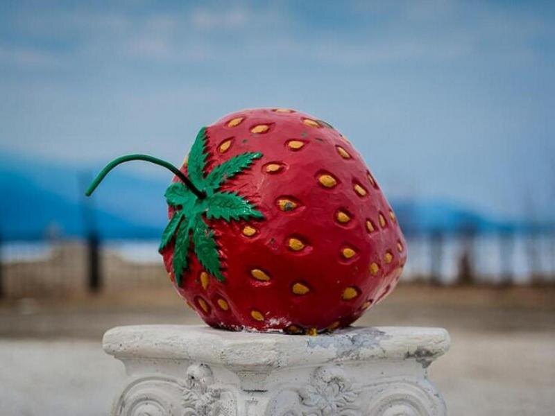 © Фото: baikalskart.ru