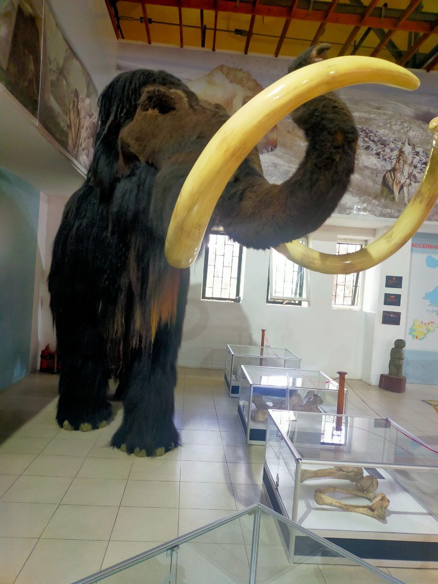 Музей в Костенках 