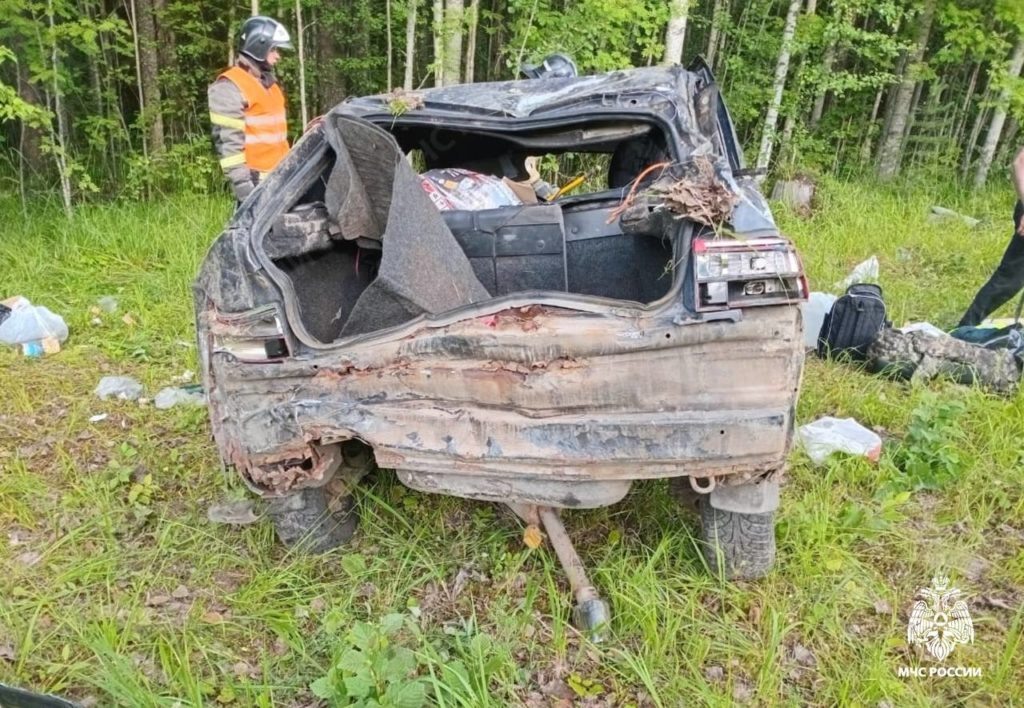    Фото: МЧС Республики Карелия / Telegram