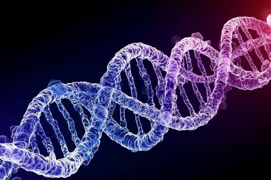    Рождение детей с ДНК трех человек стало научным прорывом