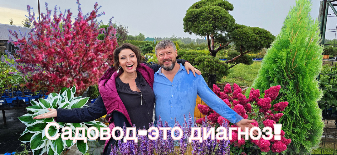 «Здравствуйте. Я-садовод-маньяк…»