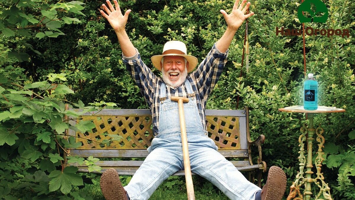 Шесть соток без оброка: государство готово разгрузить кошельки дачников