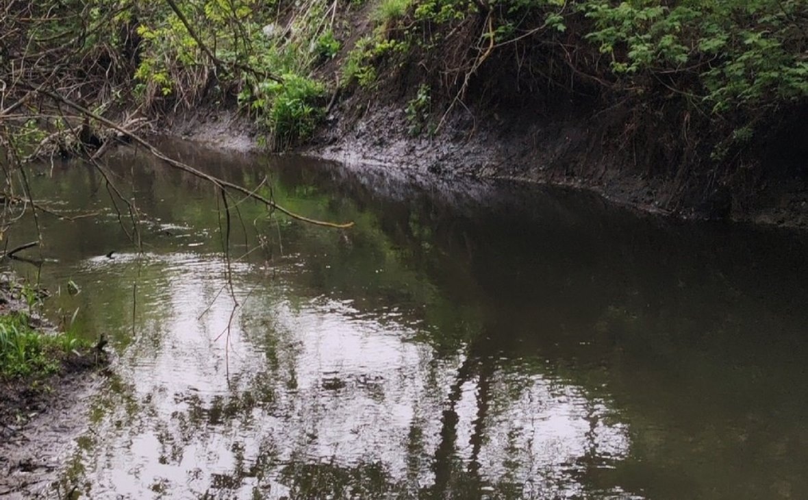 Фото: РБК Черноземье