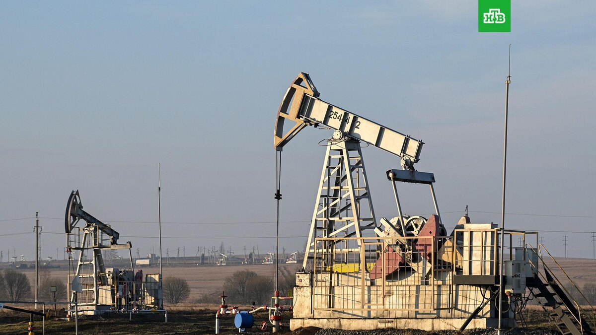    Фото: РИА Новости © 2025, Максим Богодвид