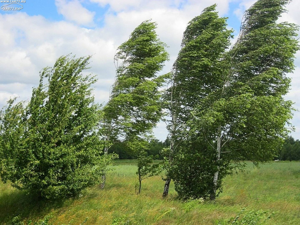 Откуда берется ветер (Изображение из интернета)