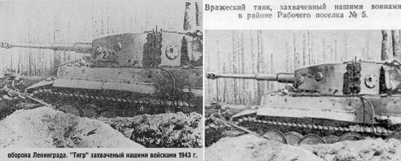 Захваченный Тигр под Ленинградом у Рабочего посёлка № 5