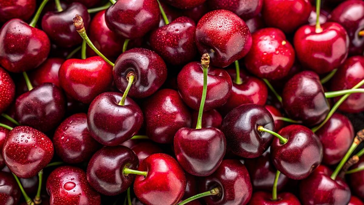    Фото: Shutterstock