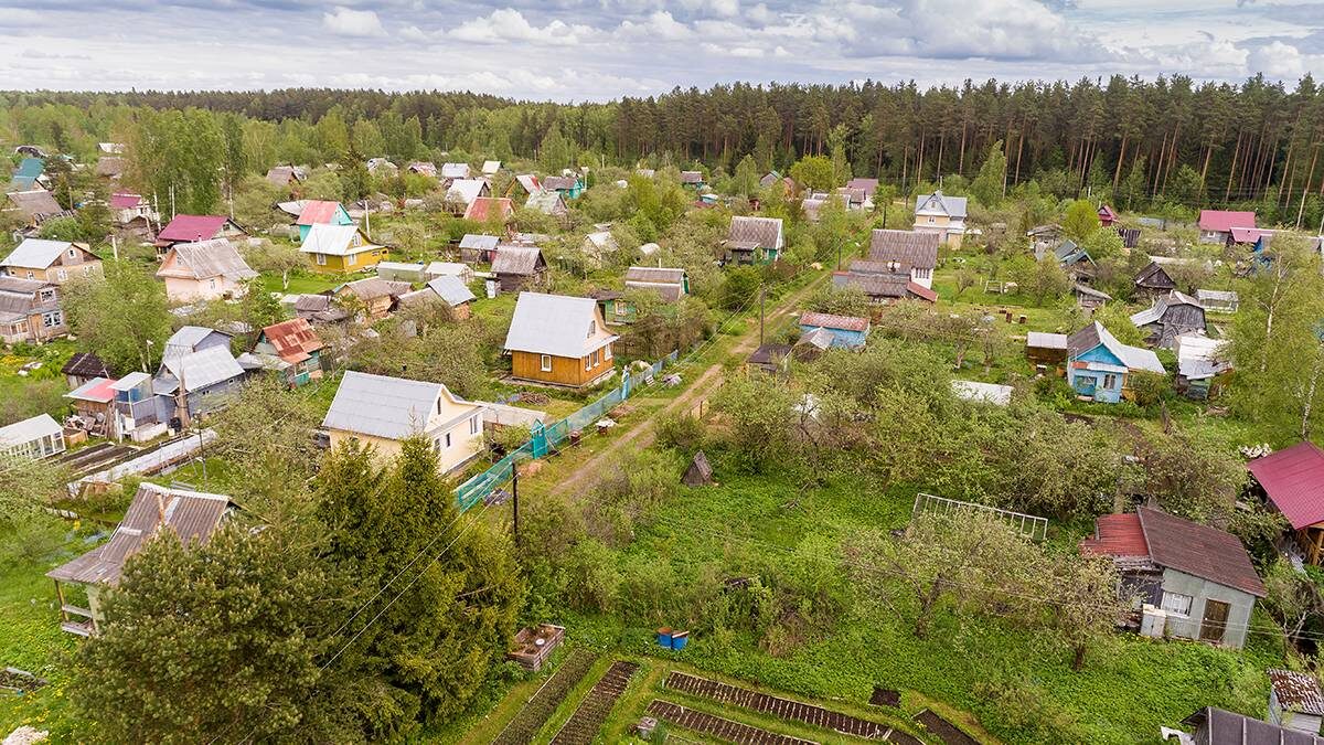    Фото: Shutterstock