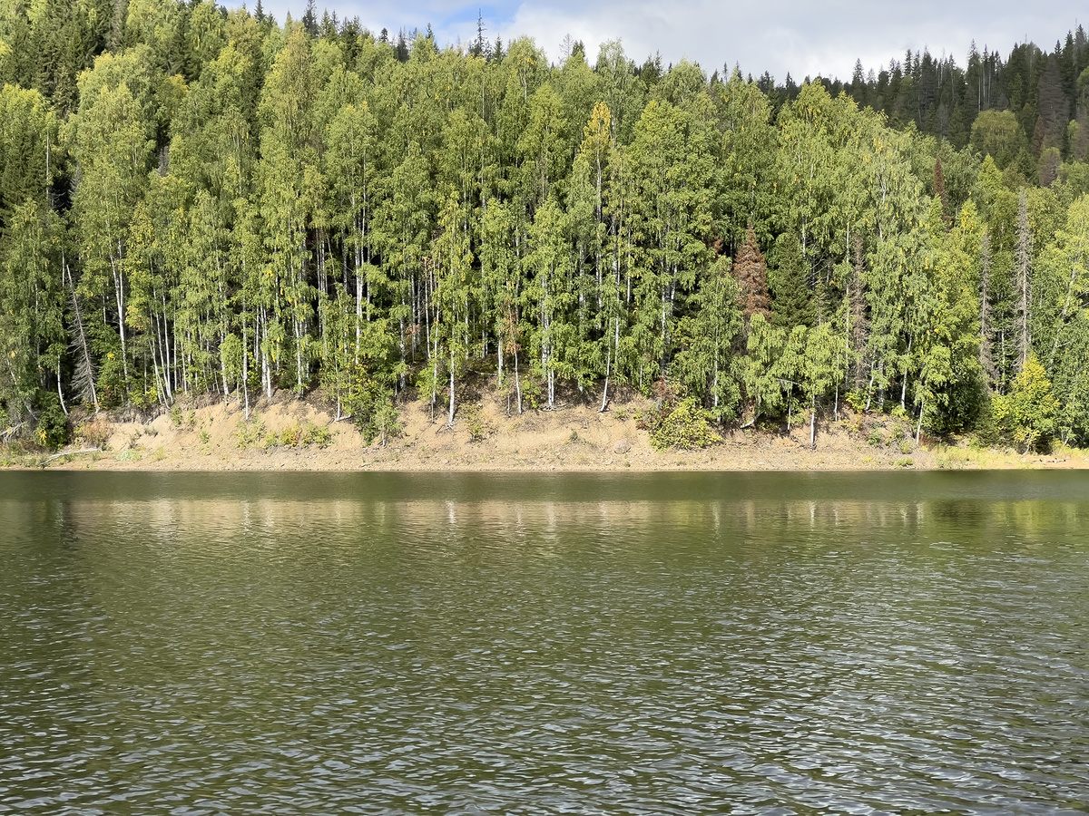 Полевая фотография изученного обнажения с новым местонахождением ископаемых остатков мягкотелых организмов эдиакарского типа у подножия горы Лысая на северном правом берегу Широковского водохранилища. Источник: Антон Колесников