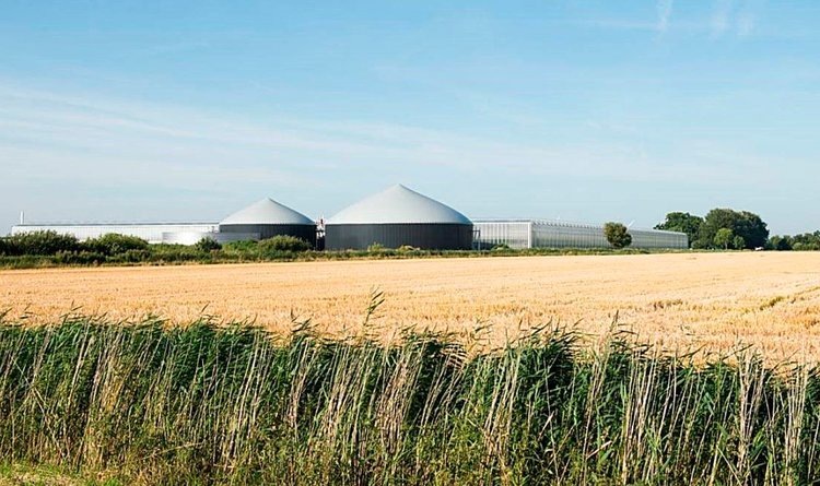    Фото: Westhof Bio