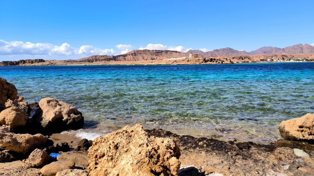    Фото: Maksim Konstantinov/Globallookpress