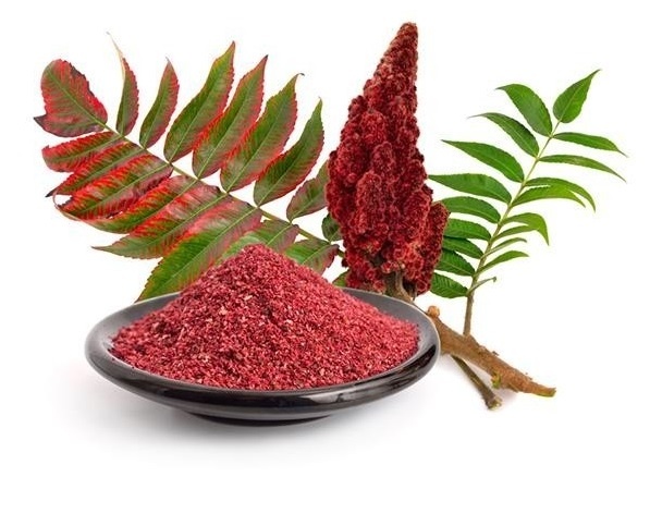 Сумах (Rhus coriaria), также известный как "сумак", — это кустарник, который широко используется в кулинарии и традиционной медицине. Вот несколько его полезных свойств:

Антиоксиданты: Сумах богат флавоноидами и полифенолами, которые обладают антиоксидантными свойствами, защищая клетки от повреждения свободными радикалами.

Противовоспалительное действие: Экстракты сумаха могут помочь снизить воспаление, что делает его полезным при различных заболеваниях, связанных с воспалением.

Поддержка пищеварения: Сумах используется в кулинарии как приправу, которая может помочь улучшить пищеварение и поддержать здоровье желудочно-кишечного тракта.

Профилактика инфекций: Некоторые исследования показывают, что сумак может обладать антимикробными свойствами, помогая бороться с некоторыми бактериальными инфекциями.

Улучшение обмена веществ: Сумах может способствовать улучшению обмена веществ и поддержанию нормального уровня сахара в крови.

Увлажнение кожи: В традиционной медицине сумак использовался для лечения кожных заболеваний благодаря своим успокаивающим и антисептическим свойствам.

Кулинарное применение: Сумах часто используется как приправа в средиземноморской и ближневосточной кухне, придавая блюдам кислый вкус, благодаря чему добавляет разнообразие в диету.

Использование сумаха может быть полезно, однако перед его употреблением всегда стоит консультироваться с врачом, особенно если у вас есть какие-либо хронические заболевания или вы принимаете медикаменты.