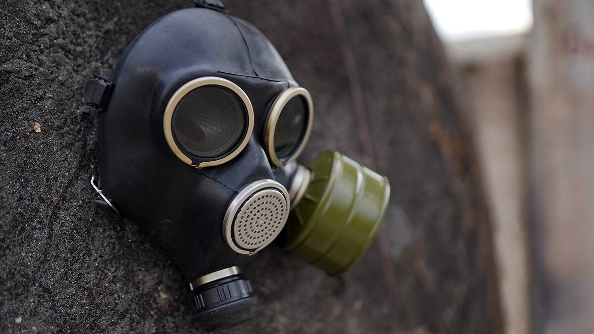    Фото: Shutterstock