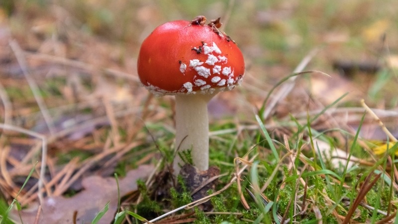     Фото: @wirestock / freepik.com