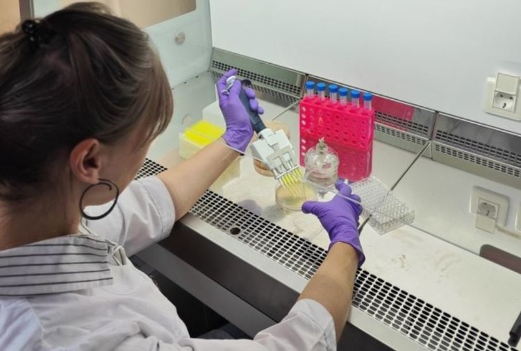    Найден способ обезвреживания бактерий с устойчивостью к антибиотикам