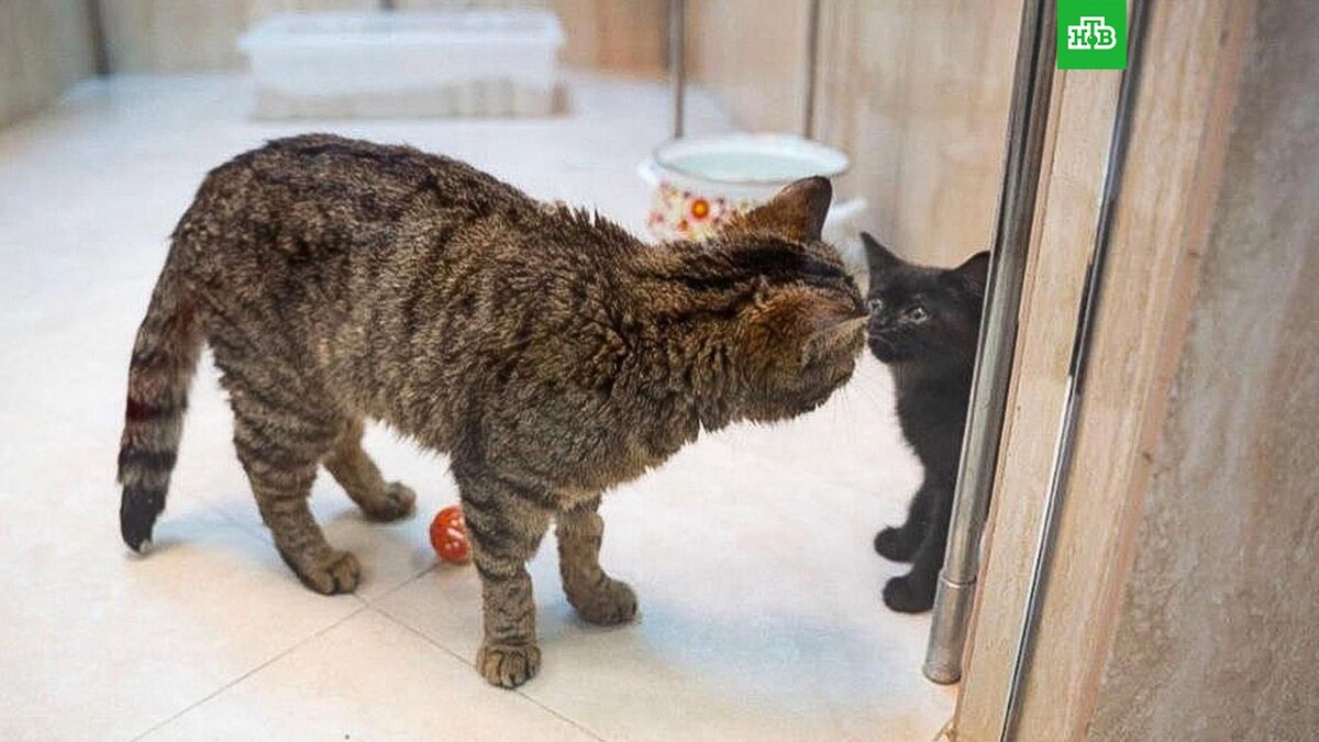    Фото: Пресс-служба Департамента культуры города Москвы