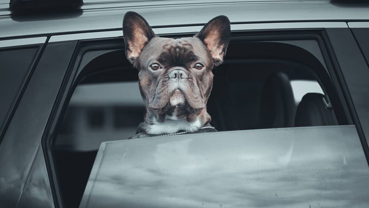    Фото: Shutterstock