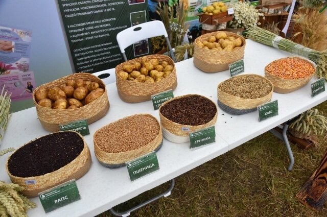    Фото автора, t.me/avbogomaz