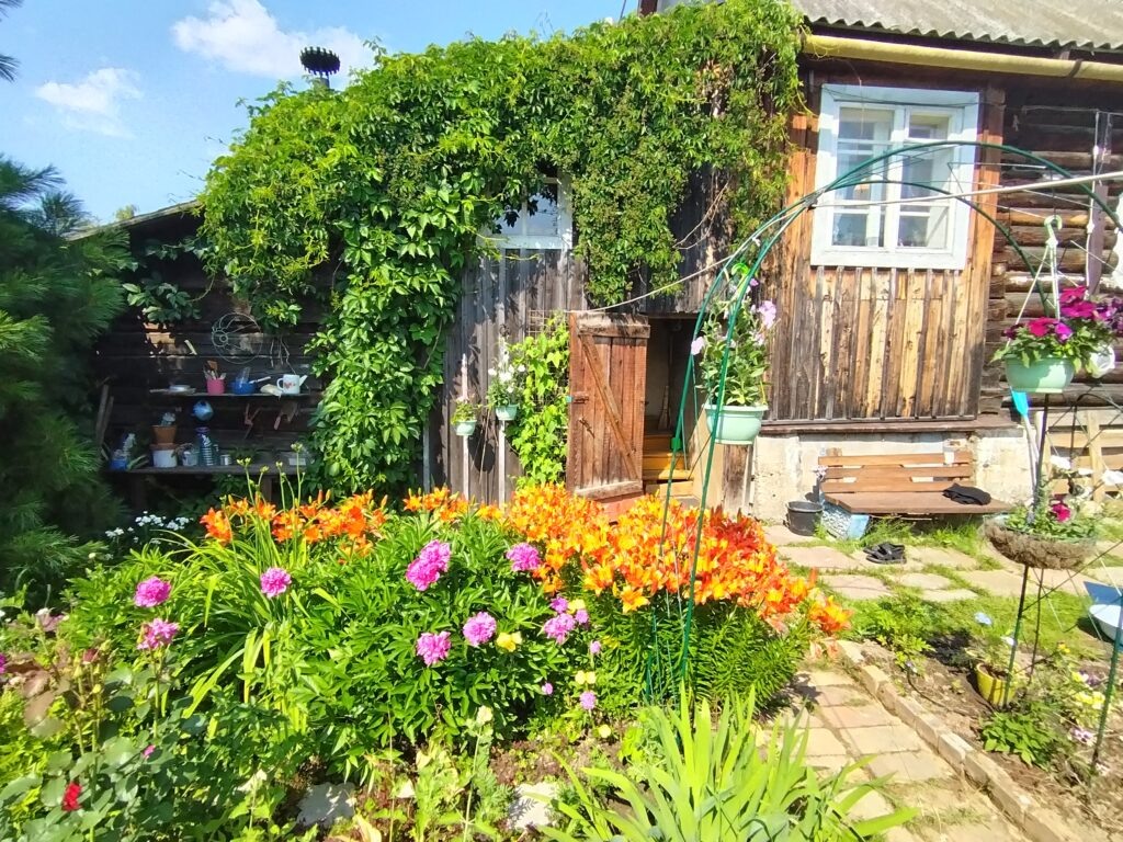    Фото: Полина Анкушина Ульяна Бажанова