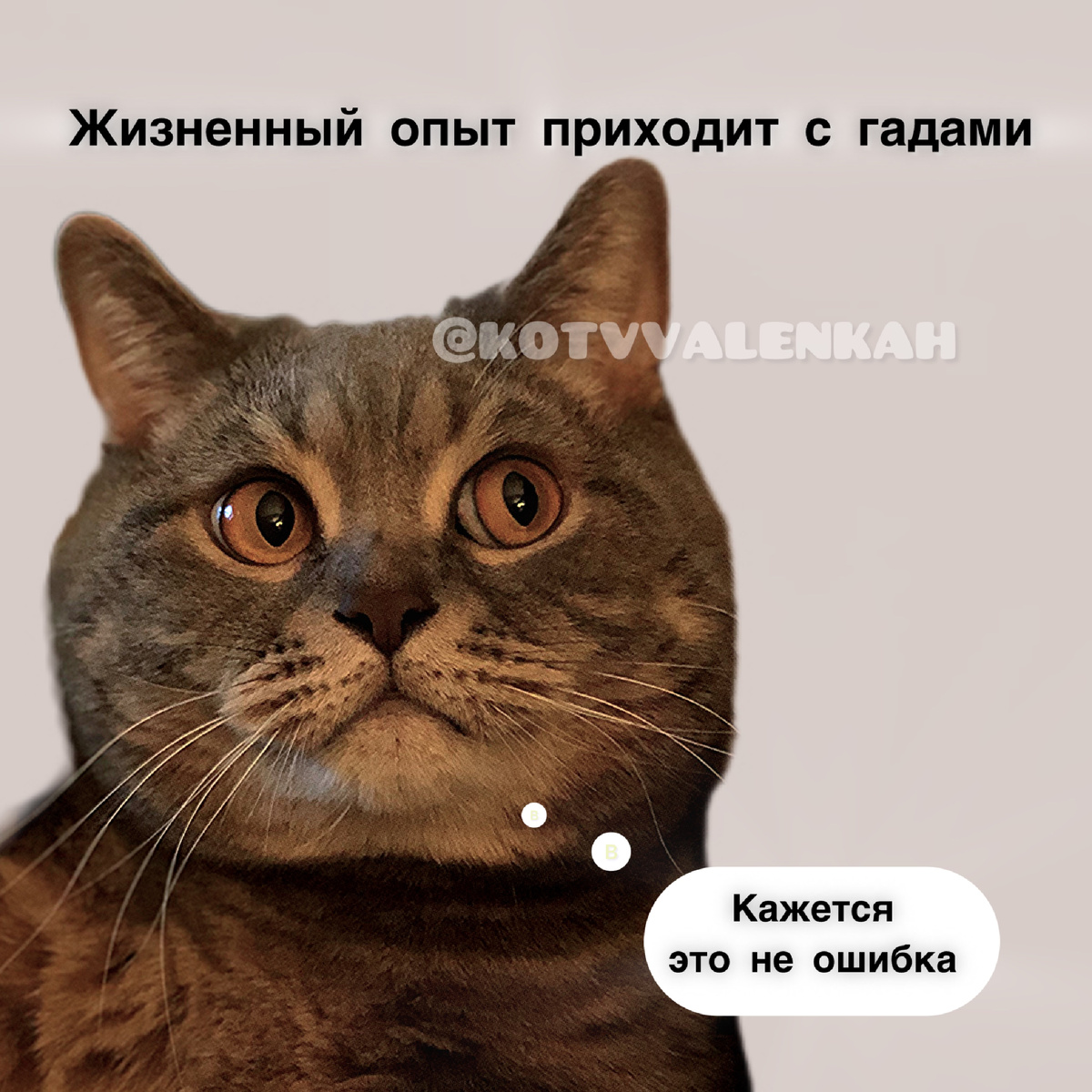 -6