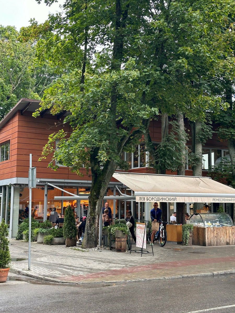 "Лев Бородинский" в Светлогорске